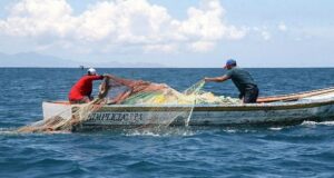 Operazione Atlantide, a Olbia sequestrati 150 chili di pescato non tracciato agricoltura-coldiretti-anche-pescatori-in-piazza-1-febbraio