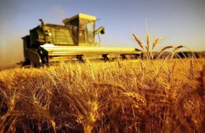 Agricoltura: Regione sarda al fianco del mondo delle campagne agricoltura-ministero-and-quot-agea-pagato-64-milioni-a-aziende-sarde-and-quot
