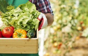 Covid, Confederazione Agricoltori: “Consumare prodotti agricoli sardi per aiutare aziende” agroalimentare-crescono-imprese-e-si-rafforza-export