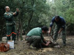 Forestas, Corte dei Conti approva il contratto per i dipendenti ambiente-e-turismo-spano-and-quot-serve-norma-su-sentieristica-and-quot