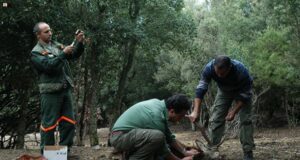 Forestas, Corte dei Conti approva il contratto per i dipendenti ambiente-e-turismo-spano-and-quot-serve-norma-su-sentieristica-and-quot