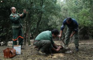 Forestas, Corte dei Conti approva il contratto per i dipendenti ambiente-e-turismo-spano-and-quot-serve-norma-su-sentieristica-and-quot