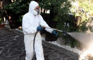 Cagliari, disinfestazione in centro: ecco dove e quando