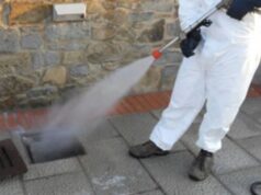 Cagliari, disinfestazione contro scarafaggi nella scuola di via Stoccolma