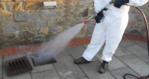 Cagliari, disinfestazione nell’Istituto Comprensivo Pirri 1 Pirri 2