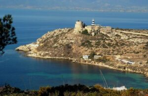 La danza dei delfini a Calamosca | Ecco lo spettacolare video calamosca-si-lancia-dagli-scogli-carabinieri-cercano-di-fermarla-ma-si-strappano-i-vestiti-e-cade