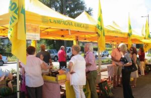 Campagna Amica, ecco i trucchi salva-cibo: dalla spesa ai fornelli campagna-amica-anche-pesce-formaggio-e-ricette-chef