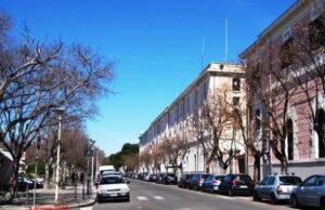 Pini tagliati in viale Buoncammino, i quattro indagati fanno ricorso corteo-a-cagliari-traffico-bloccato-in-viale-buoncammino