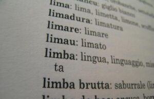 Lingua sarda: al via i progetti per la standardizzazione delle varianti csu-denuncia-tagli-da-1-milione-a-uffici-lingua-sarda