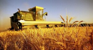 Coldiretti Sardegna, vola il prezzo del grano (+65%) ma non per gli agricoltori deflazione-nei-campi-and-egrave-crisi-profonda-coldiretti-and-quot-occorre-etichettatura-trasparente-and-quot