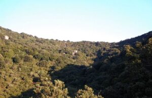 Cuglieri, una stazione metereologica all’Associazione Montiferru dispersi-nei-boschi-del-montiferru-salvati-dalla-forestale-2-cercatori-di-funghi-di-selargius