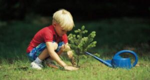 San Michele: bambini protagonisti della grande Festa degli alberi festa-dell-albero-a-cagliari-appuntamento-il-6-dicembre-al-parco-san-michele