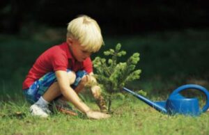 San Michele: bambini protagonisti della grande Festa degli alberi festa-dell-albero-a-cagliari-appuntamento-il-6-dicembre-al-parco-san-michele