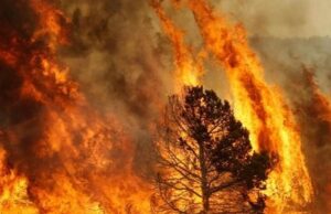 Allerta incendi: mercoledì 14 luglio bollino arancione a Cagliari