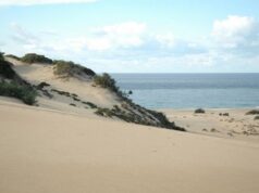 Turismo: la spiaggia di Piscinas vince l’oscar ma nessuno ritira il premio in-spiaggia-con-cani-e-gatti-anche-a-piscinas-si-pu-and-ograve