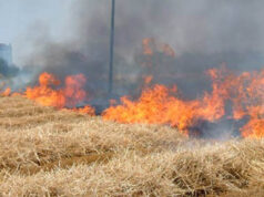 “Ancora incendi a Flumini, il Comune pulisca le cunette” incendi-il-fuoco-semina-il-panico-nel-cagliaritano-devastati-depositi-nelle-zone-agricole