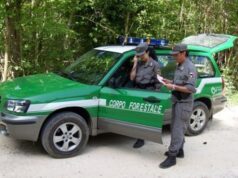 Corpo forestale, avviati i concorsi dopo 18 anni: si cercano 78 agenti