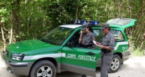 Corpo forestale, avviati i concorsi dopo 18 anni: si cercano 78 agenti