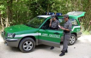 Corpo forestale, avviati i concorsi dopo 18 anni: si cercano 78 agenti