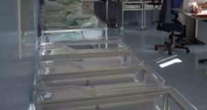 Culle vuote e scarsi servizi per l’infanzia: la Sardegna è sempre più vecchia la-cicogna-non-vola-pi-and-ugrave-natalit-and-agrave-a-picco-in-sardegna