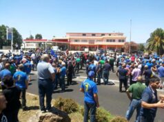 Pastori sardi sul piede di guerra: pronti alla marcia su via Roma latte-pastori-saranno-ricevuti-consiglio-2-agosto