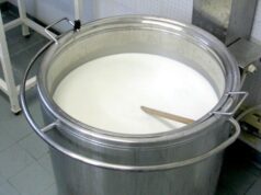 Economia, Centro Studi Agricoli: “Pronti due decreti su produzioni di latte e formaggi” latte-taglio-budget-pecorino-a-indigenti-bufera-in-sardegna