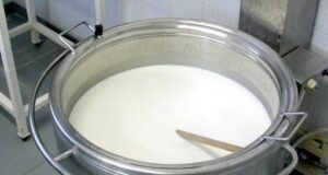 Economia, Centro Studi Agricoli: “Pronti due decreti su produzioni di latte e formaggi” latte-taglio-budget-pecorino-a-indigenti-bufera-in-sardegna