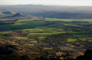 La Marmilla è Covid free: nessun contagio in 18 comuni marmilla-punta-al-rilancio-su-agroalimentare-e-turismo