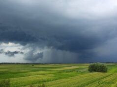Meteo, il tempo peggiora: pioggia soprattutto nel nord Sardegna meteo-assaggio-di-primavera-ma-nel-weekend-torna-pioggia-e-fresco