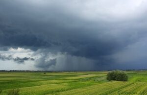 Meteo, il tempo peggiora: pioggia soprattutto nel nord Sardegna meteo-assaggio-di-primavera-ma-nel-weekend-torna-pioggia-e-fresco