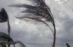 Maltempo | Vento oltre i 100 chilometri ora in Sardegna: è allerta meteo-maestrale-giovedi-torna-grande-caldo