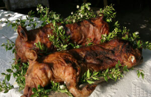 “Permettete l’export del porcetto sardo”: interrogazione alla Commissione Ue milano-all-and-rsquo-expo-debutta-il-porcetto