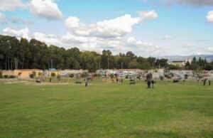 Si placa il forte vento, a Cagliari riaprono parchi e cimiteri parco di monte claro