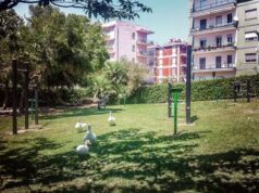 Piantiamo la salute, la campagna nazionale al Parco di Monte Urpinu monte-urpinu-ecco-la-palestra-all-and-rsquo-aperto