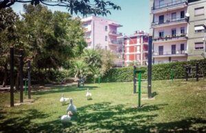 Influenza aviaria: appello per gli uccelli di Monte Urpinu monte-urpinu-ecco-la-palestra-all-and-rsquo-aperto