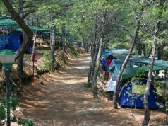 Turismo: una notte in nave costa come una settimana in campeggio nuove-norme-forestale-and-ldquo-rischio-chiusura-campeggi-e-alberghi-and-rdquo