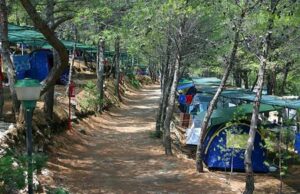 Turismo: una notte in nave costa come una settimana in campeggio nuove-norme-forestale-and-ldquo-rischio-chiusura-campeggi-e-alberghi-and-rdquo