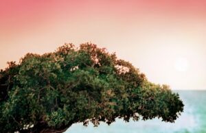 La Casa dei papà: a Sassari un progetto solidale per gli uomini separati pap-and-agrave-separati-nuovi-poveri-suor-anna-apre-a-cagliari-una-casa-di-accoglienza