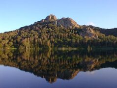 Cemento | Si potrà costruire entro i 300 metri presso stagni e laghi dell’Isola poggio-dei-pini-comitato-contro-nuovo-viadotto-and-quot-stop-a-mostri-di-cemento-and-quot