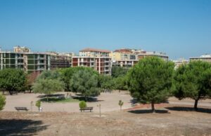 Parco di Monte Claro chiude al pubblico per manutenzione del verde scoppia-incendio-nel-parco-paura-a-monte-claro