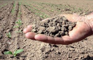 Siccità, la Sardegna è fuori pericolo | Ecco perché siccita