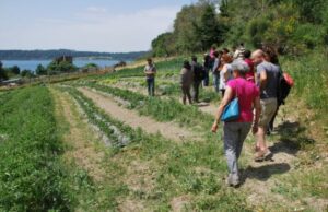 Agrifood, i giovani sardi non fanno impresa | Ecco perché terre-ai-giovani-10-lotti-a-under-40-anche-foresta-bamb-and-ugrave