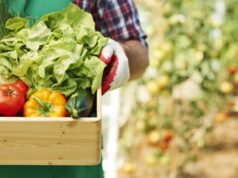 “Lasciate passare almeno l’ortofrutta bloccata nei porti e la merce deperibile” turismo-e-agroalimentare-confapi-scommette-su-mercati-asia