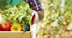 Agricoltura, Manca (M5s): “Approvato Dl sicurezza alimentare, tutelerà produttori e consumatori” turismo-e-agroalimentare-confapi-scommette-su-mercati-asia