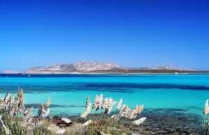 Turismo: Sardegna in ripresa, ma sono lontani i livelli pre pandemia turismo-nord-ovest-in-calo-pesa-il-crollo-di-alghero