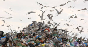 Discariche dismesse: un milione e 700 mila euro per la bonifica ue-italia-sotto-accusa-per-discariche-e-fogne
