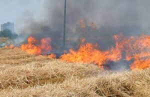 Vasto incendio a Sinnai: sul posto l’elicottero del Corpo Forestale vasto-incendio-tra-serri-e-nurri-distrugge-macchia-mediterranea