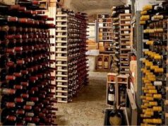 Generazione Z dei vignaioli: c’è anche il dorgalese Fronteddu vinitaly-rosso-kent-annos-inserito-nella-guida-5-stars