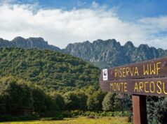 Le tre oasi protette dal Wwf nell’Isola: Monte Arcosu, Scivu e le Steppe sarde wwf-giornata-delle-oasi-domenica-21-maggio-visite-alla-riserva-di-monte-arcosu