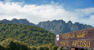 Le tre oasi protette dal Wwf nell’Isola: Monte Arcosu, Scivu e le Steppe sarde wwf-giornata-delle-oasi-domenica-21-maggio-visite-alla-riserva-di-monte-arcosu
